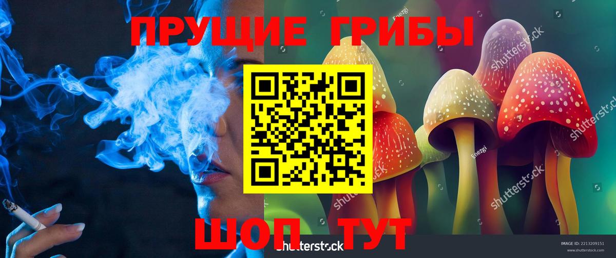 Галлюциногенные грибы GOLDEN TEACHER  Галлюциногенные грибы мицелий  Вход с VPN  Саянск 